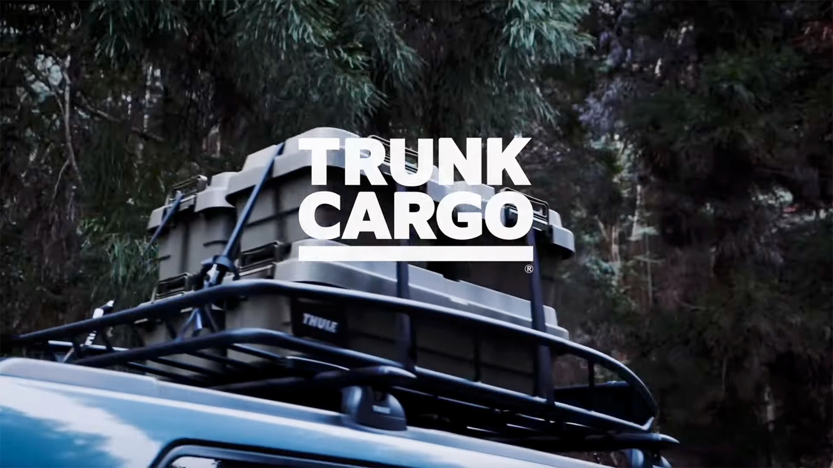Load video: Trunk Cargo Official Video for Low type storage box